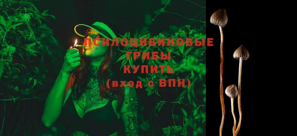 бошки Зерноград