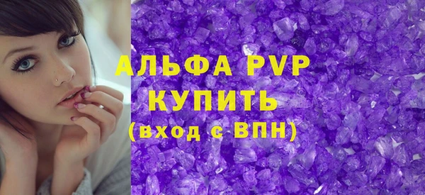spice Каменка