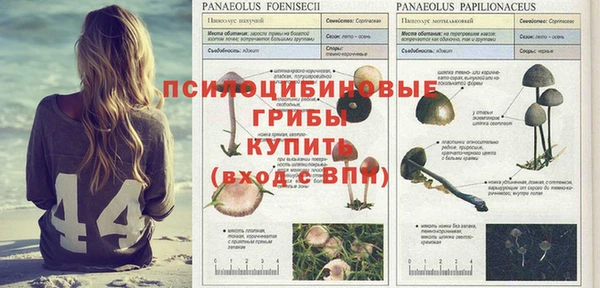 спайс Зеленодольск