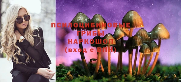 круглые Каменногорск